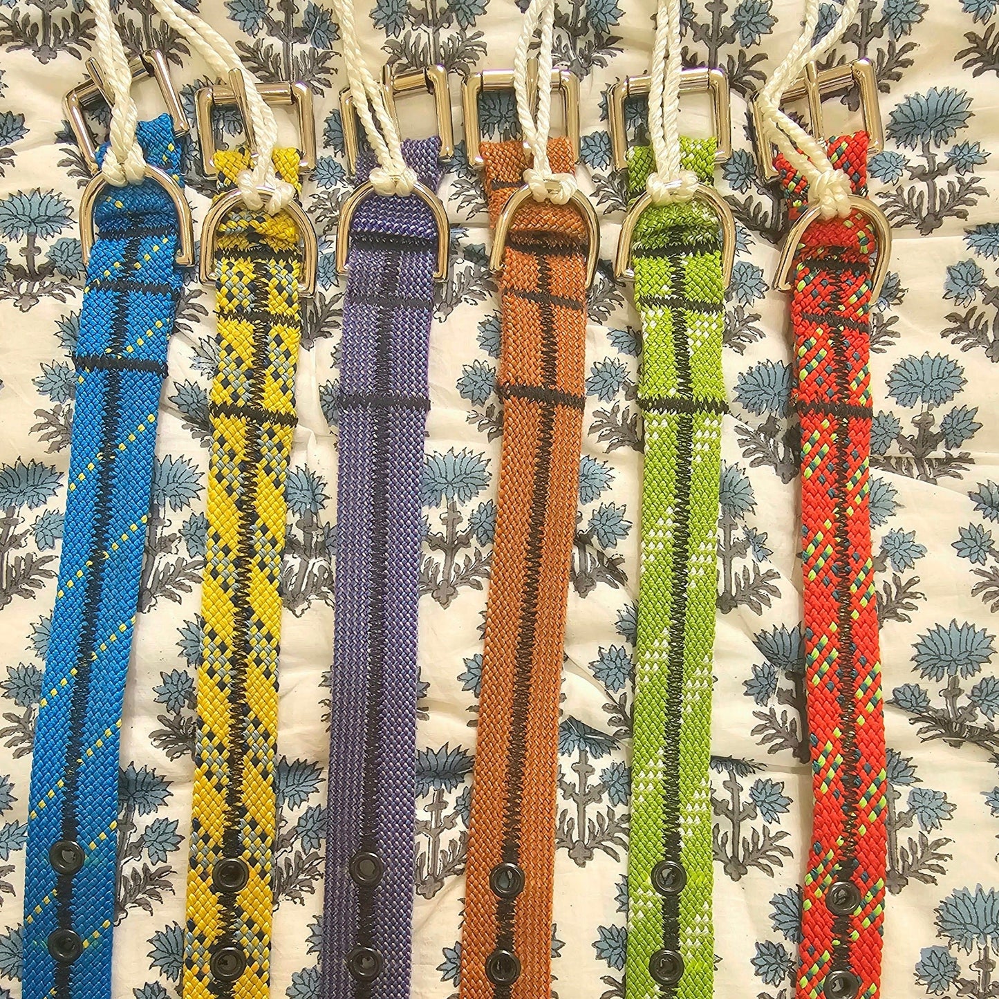 Scavenger Dog Collar - Extra Small