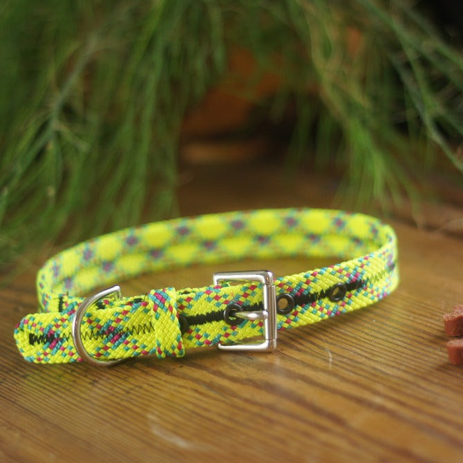 Scavenger Dog Collar - Extra Small