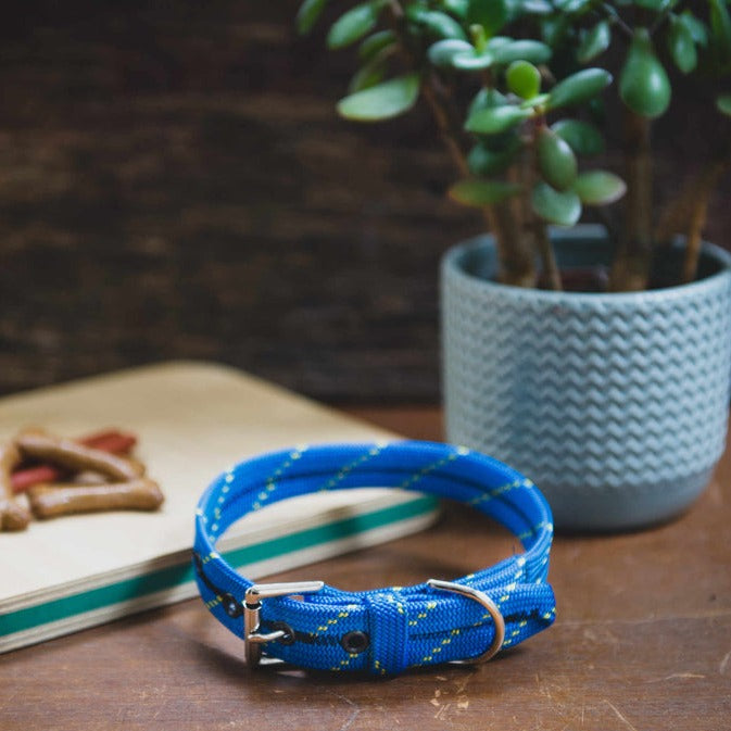 Scavenger Dog Collar - Extra Small