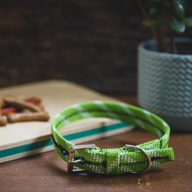 Scavenger Dog Collar - Extra Small