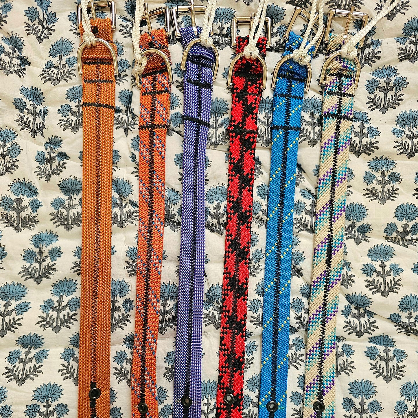 Scavenger Dog Collar - Small