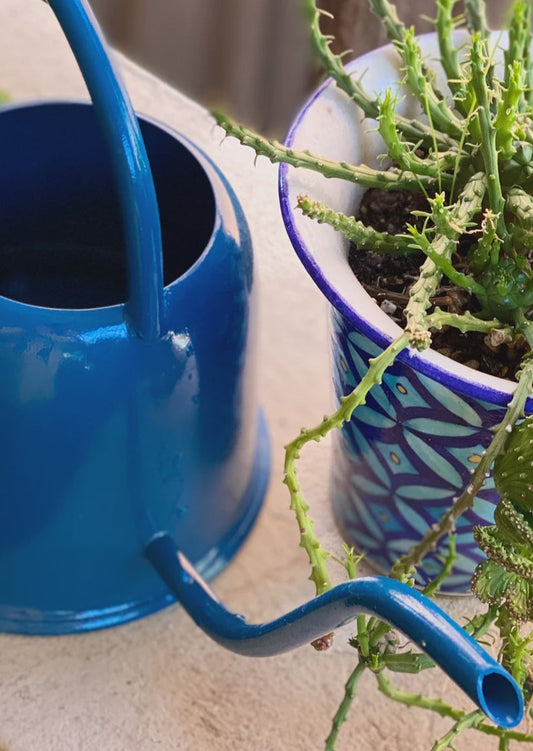 Fair Go Watering Can