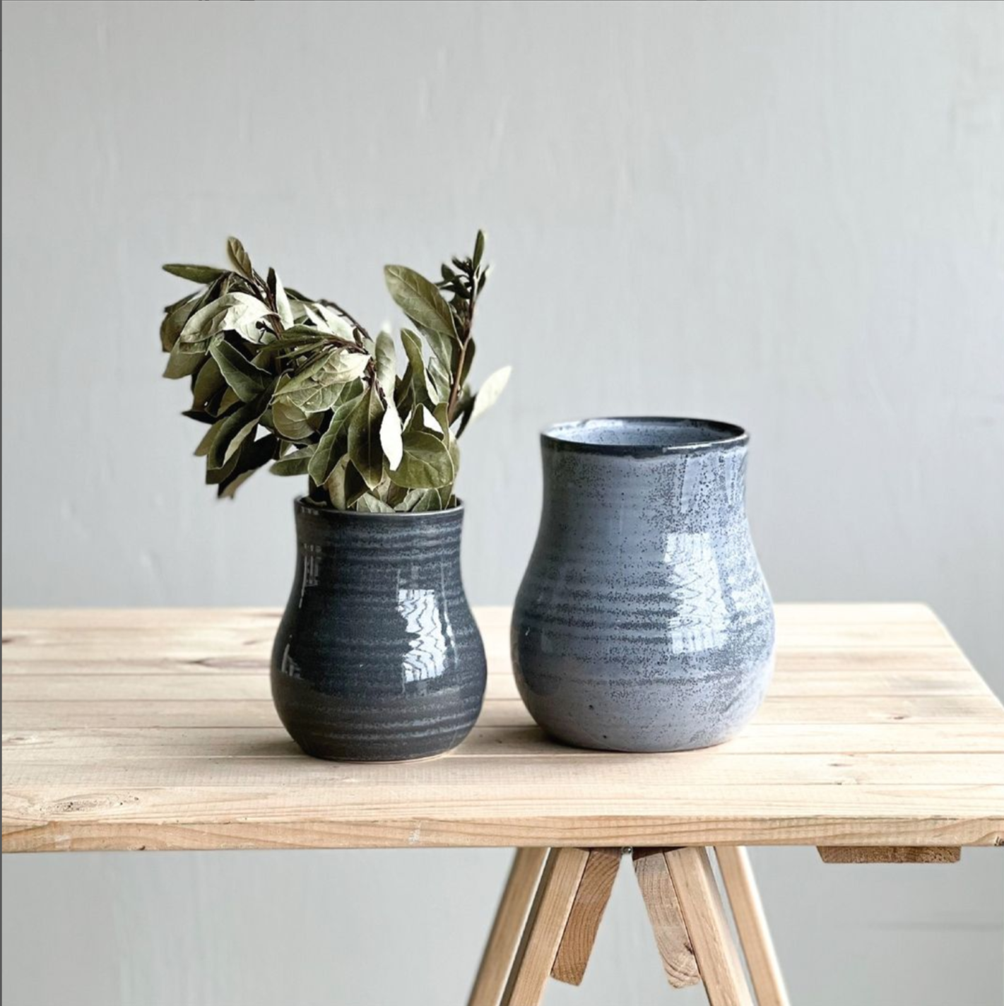 Botanical Vase - Banksia